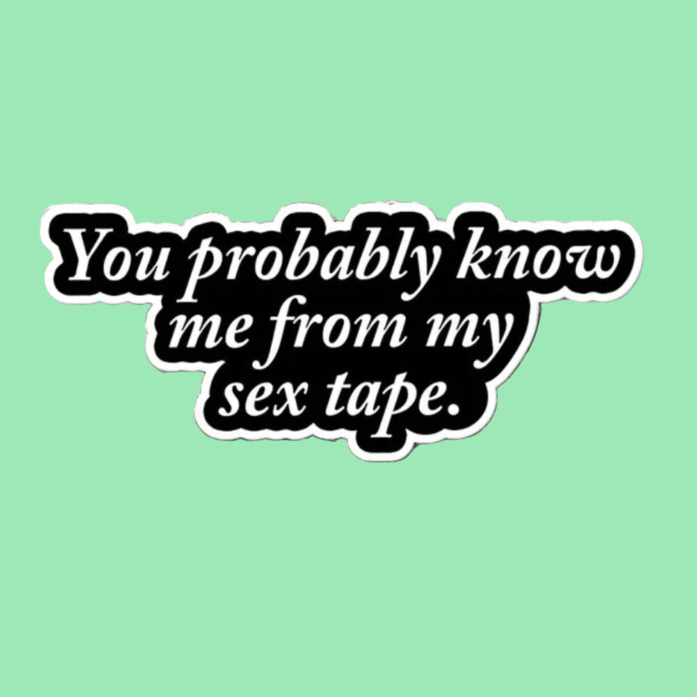 You Probably Know Me From My Sex Tape. Sticker