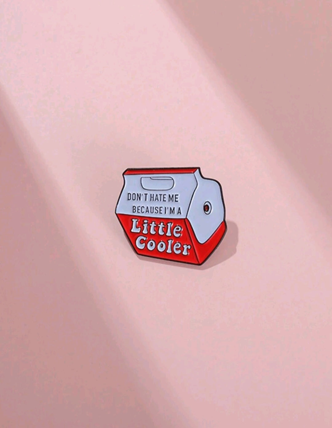 Don't Hate Me Because I'm a Little Cooler Pin